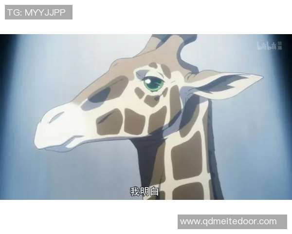 塔罗与星座解析足球明星的性格与命运之旅